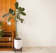 Violeta Hotel Boutique hotel detail image 5