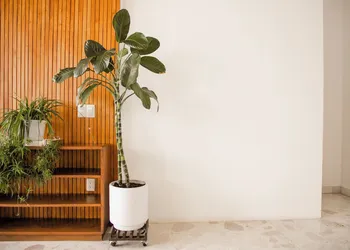 Violeta Hotel Boutique hotel thumbnail 5