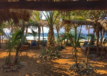 BAMBU Ecocabanas hotel thumbnail 5