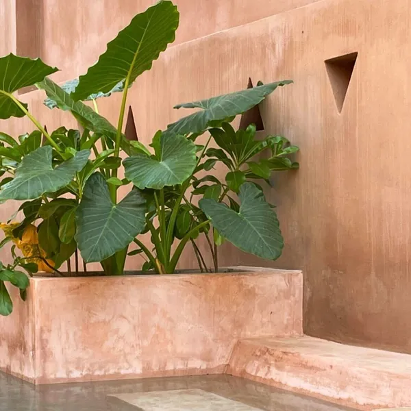 Punta Navi hotel detail image 6