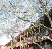 Shady Cliff Resort hotel detail image 3