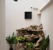 Casa Venus hotel detail image 4