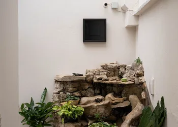 Casa Venus hotel thumbnail 4