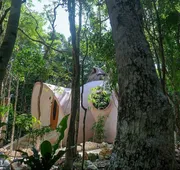 Room-unique Jungle Dome 2 Queen Beds hotel detail image 3