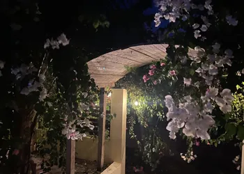 Casa de las Libélulas hotel thumbnail 5