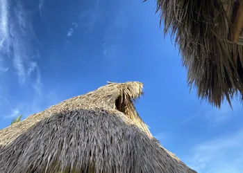 Casa de las Libélulas hotel thumbnail 6