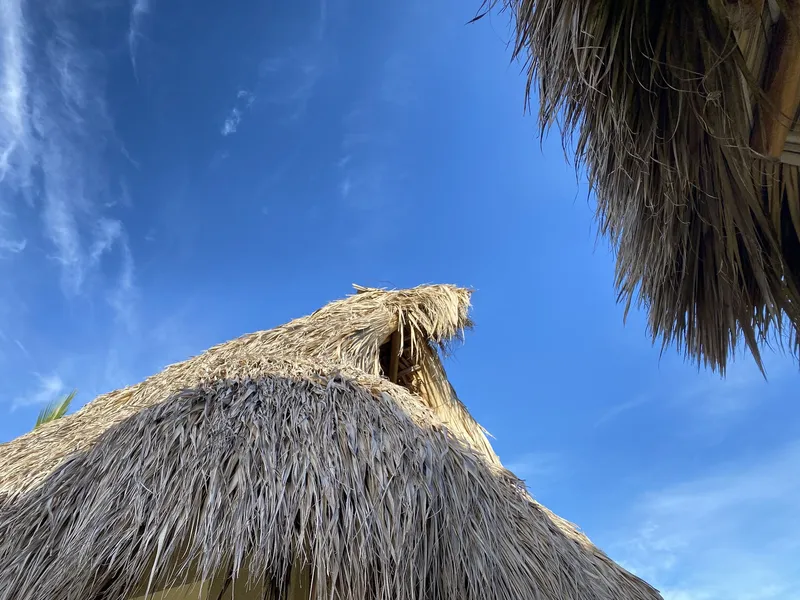 Casa de las Libélulas hotel detail image 6