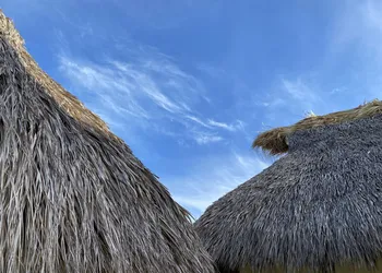 Casa de las Libélulas hotel thumbnail 8
