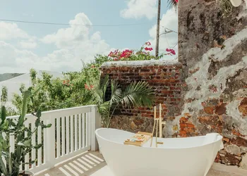 The Pink Palm Hotel - Adults Only hotel thumbnail 6