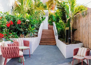 The Pink Palm Hotel - Adults Only hotel thumbnail 8
