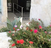 Arecibo Inn hotel detail image 3