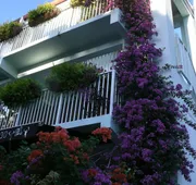 Cruz Bay Boutique Hotel hotel detail image 3