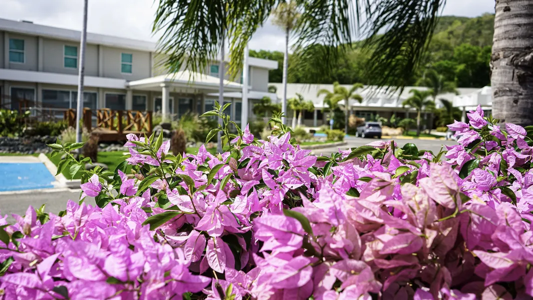Costa Bahia Hotel & Convention Center hotel detail image 6