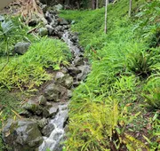 Villa Gringo Farms hotel detail image 5