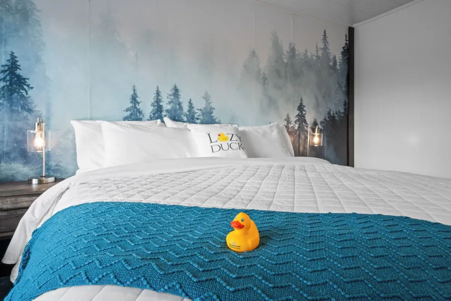 The Lazy Duck Inn hotel detail image 2