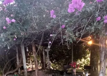 Posada Barahona hotel thumbnail 8