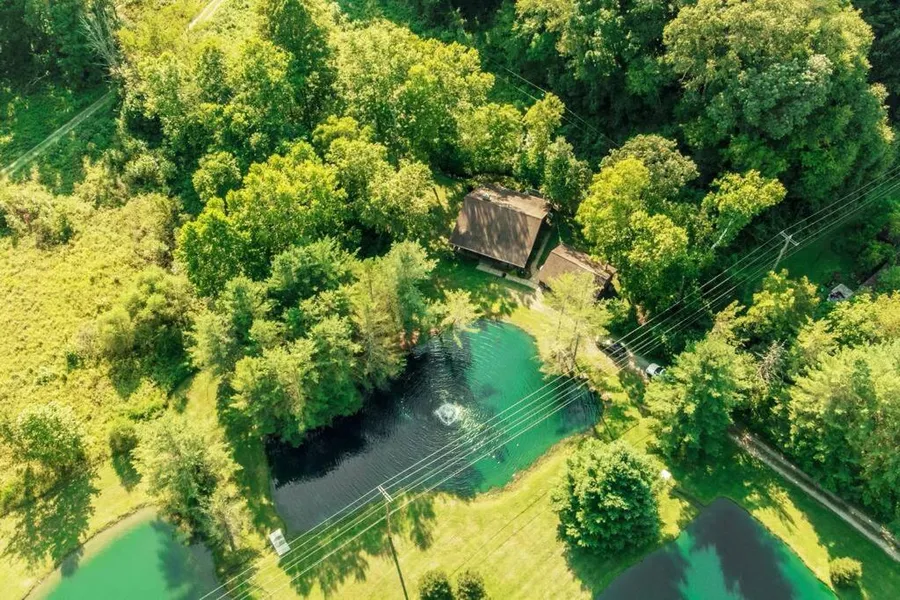 Fishing Lodge! 4 Queens 6 Twins 8 acres 3 Stocked Ponds Hot Tub Arcade hotel detail image 2