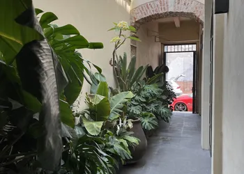 Casa Realm hotel thumbnail 3