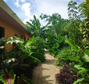 Jungla Bacalar hotel detail image 3