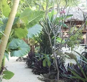 Jungla Bacalar hotel detail image 4
