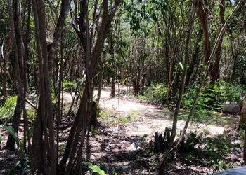 Tulum Nueve hotel thumbnail 4