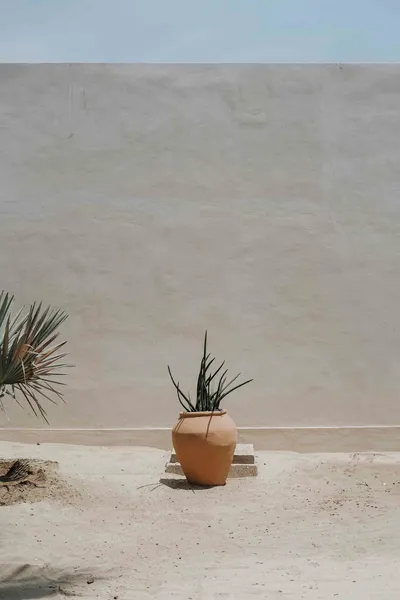 Casa Yuma, Puerto Escondido - Adults Only hotel detail image 6