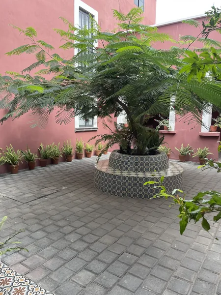 Quinta la Perla hotel detail image 2