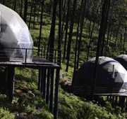 lobo glamp hotel detail image 3