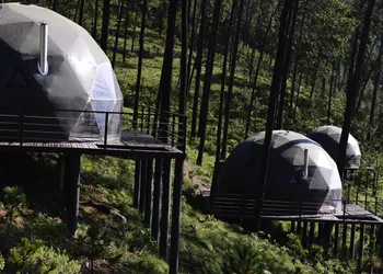 lobo glamp hotel thumbnail 3