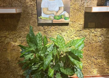 Casa Tres Colibries - Adults Only hotel thumbnail 6