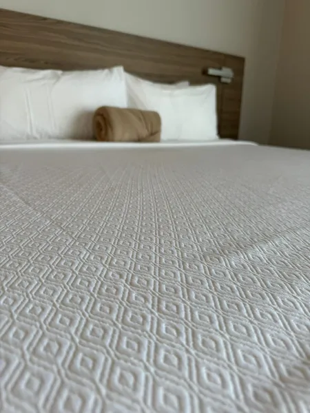 Royal Delonix Hotel hotel detail image 6