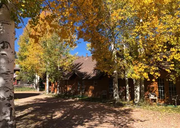 Alpine Forest Lodge hotel thumbnail 2
