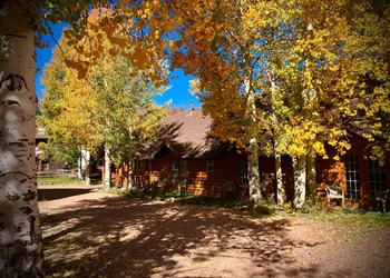 Alpine Forest Lodge hotel thumbnail 3