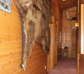 FISH Kodiak Adventures River Inn Open For Bookings hotel thumbnail 8