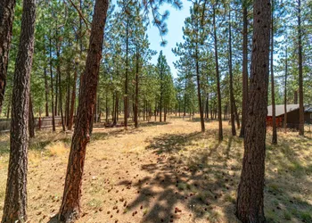 Juniper and Pine - A High Desert Lodge hotel thumbnail 4