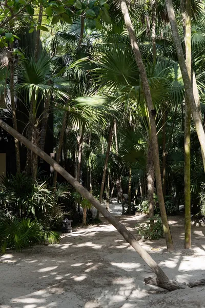 UMi Tulum hotel detail image 6
