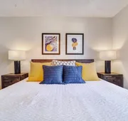 The Perch by Lodgewell - Duplex in Zilker neighborhood hotel detail image 7