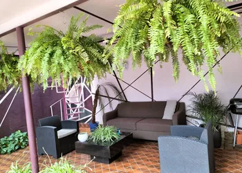 Casa Maguey hotel thumbnail 3
