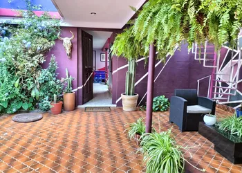Casa Maguey hotel thumbnail 4