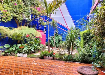 Casa Maguey hotel thumbnail 5