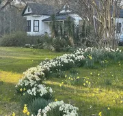 Adelines Bed and Breakfast hotel detail image 3