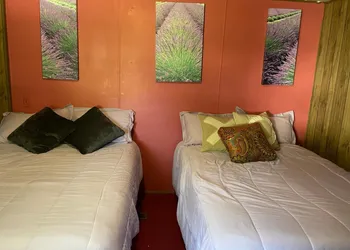 Air b/b lodge hotel thumbnail 3