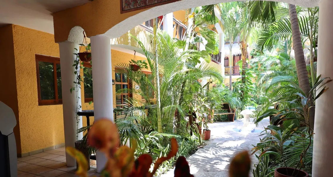 Hotel Bosque Caribe , 5th Av Zone hotel detail image 6