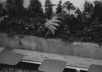 Hotel Casa Cuenca hotel thumbnail 4