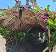 Akuazul Resorts Adults Only hotel detail image 5