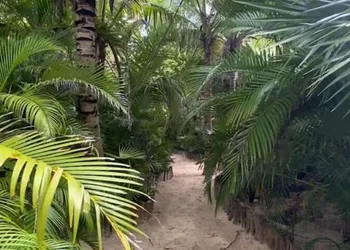 Lumilek Tulum hotel thumbnail 5