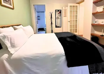Sunny Condesa hotel thumbnail 3