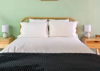 Sunny Condesa hotel thumbnail 7