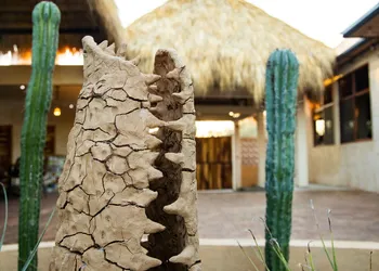 Casa Majeva hotel thumbnail 7