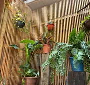 guiba. puerto escondido hotel detail image 7
